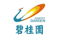 ng娱乐电子游戏官网